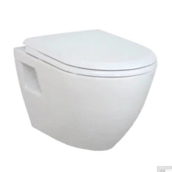 BWS Wandcloset Eva | Excl. Zitting | Met RVS Sproeier | Wit